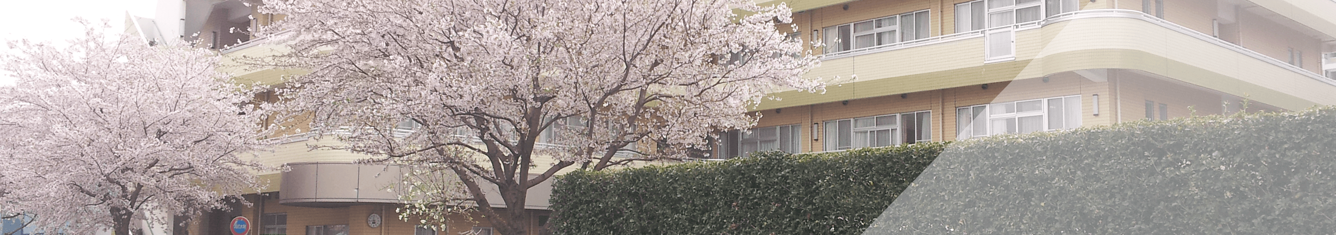 総合福祉ホーム芙蓉園